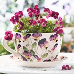 Que flores darão em 8 de março