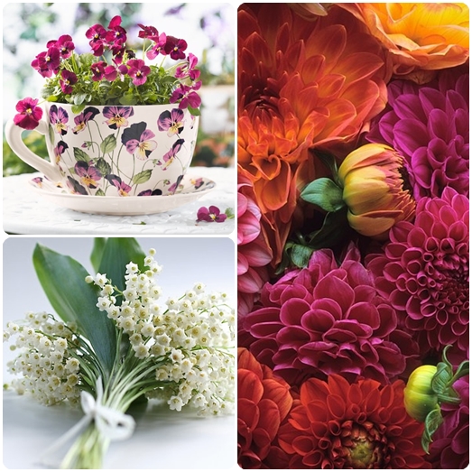 Que flores darão em 8 de março