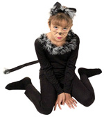 Traje de Ano Novo de um gato