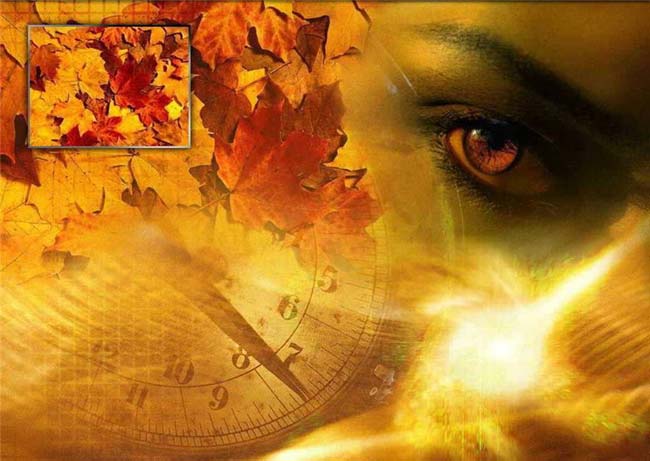 Numerologia: o número do nome