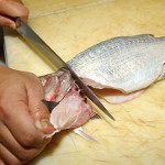 Processamento de peixes de diferentes tipos