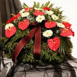 Organização de funerais Organização de funerais