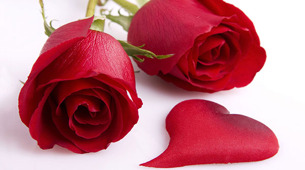 Parabéns aos amantes da poesia e da prosa