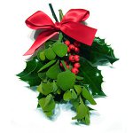 Tradições de Natal em diferentes países. Parte 2 Tradições de Natal em diferentes países. Parte 2