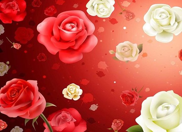 desenho de rosas