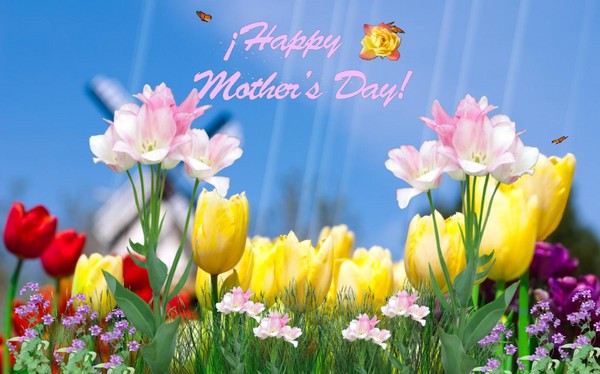 Sms com o Dia das Mães - curto, engraçado, em verso e em prosa. Mensagens de felicitações para mãe, irmã, namorada, sogra, mulheres familiares