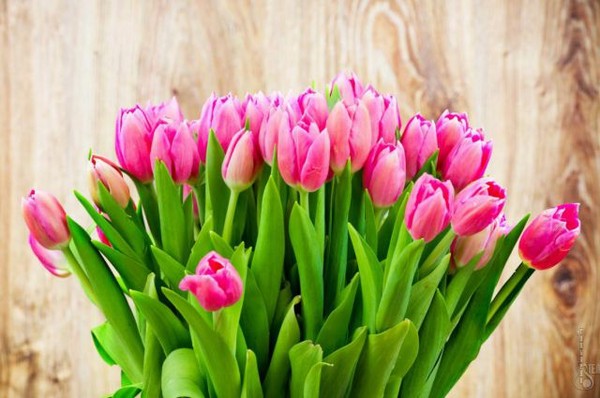 Os poemas mais tocantes e bonitos em 8 de março, mulheres amadas