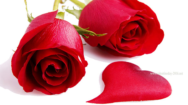 Poemas para o Dia dos Namorados