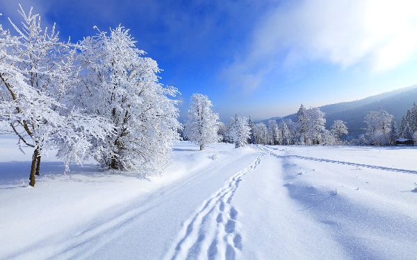 Poemas sobre o inverno para crianças: opções para jardim de infância e escola. Lindos versos curtos de poetas clássicos russos sobre o inverno