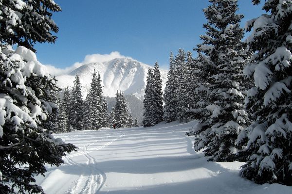 Poemas sobre o inverno para crianças: opções para jardim de infância e escola. Lindos versos curtos de poetas clássicos russos sobre o inverno