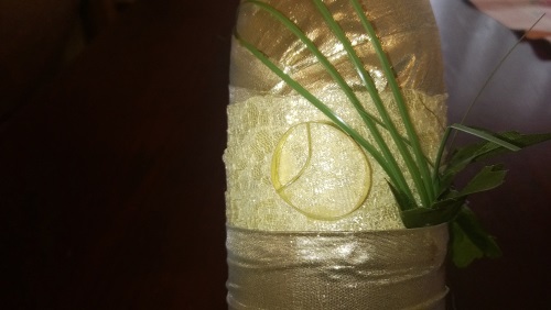 Decorando champanhe de casamento com suas próprias mãos