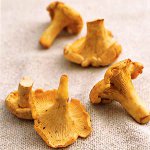 Nós cozinhamos chanterelles para o inverno