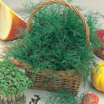 Colheita de vegetação para o inverno Colheita de vegetação para o inverno
