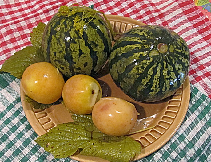 Salgando melancias para o inverno em barris Salgando melancias para o inverno em barris