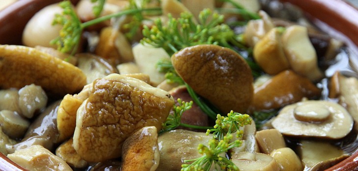 Cogumelos brancos: receitas para cozinhar pratos deliciosos