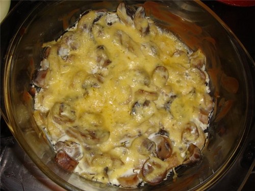 Cogumelos brancos: receitas para cozinhar pratos deliciosos