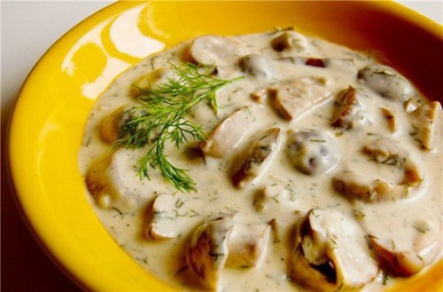 Cogumelos brancos: receitas para cozinhar pratos deliciosos