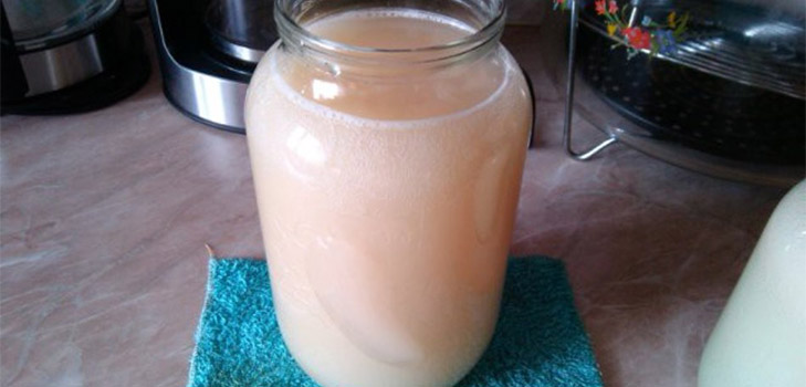 Bregs de receita clássica feitas de seiva de bétula