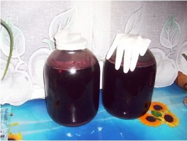Vinho de cereja caseiro, uma receita simples com vodka, sem fermento. Como fazer vinho de cereja em casa com uma luva