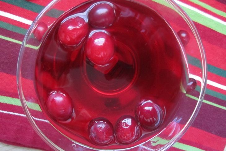 Cranberries caseiros para o inverno - fotos e receitas de culinária