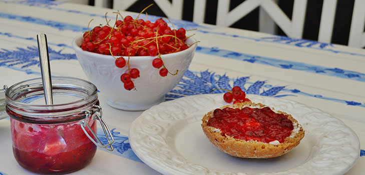 Merda de groselha vermelha - receitas para o inverno