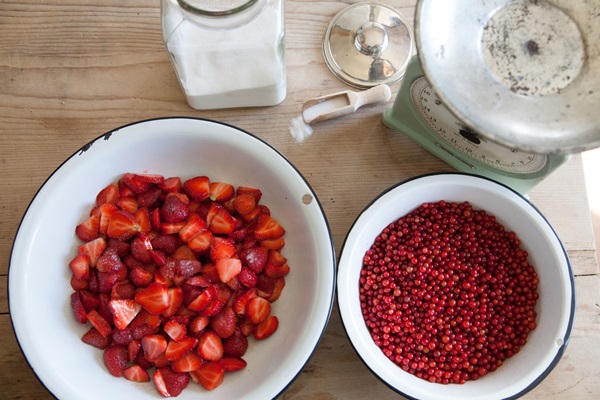 Merda de groselha vermelha - receitas para o inverno