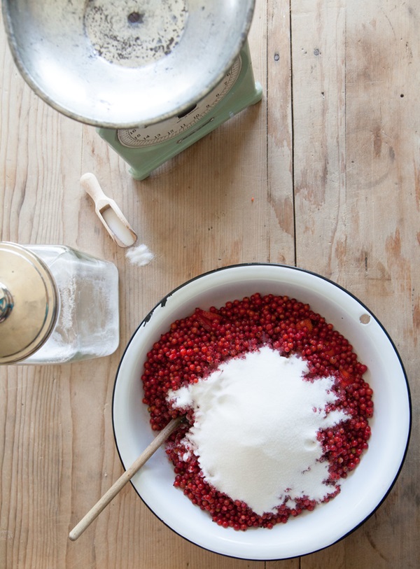 Merda de groselha vermelha - receitas para o inverno
