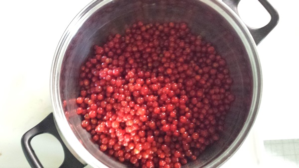Merda de groselha vermelha - receitas para o inverno