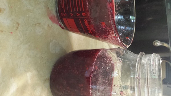 Merda de groselha vermelha - receitas para o inverno
