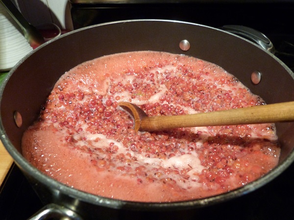Merda de groselha vermelha - receitas para o inverno