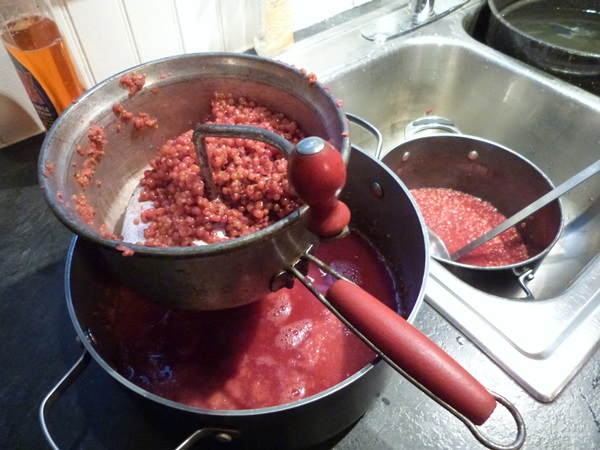 Merda de groselha vermelha - receitas para o inverno