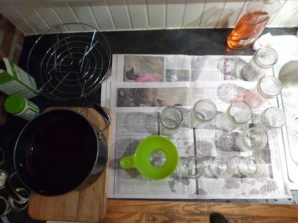 Merda de groselha vermelha - receitas para o inverno