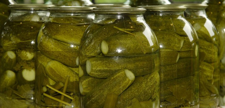 Pepinos crocantes para o inverno - decapados, sem vinagre, sem esterilização. As melhores receitas simples com fotos de pepinos crocantes em latas com vodka