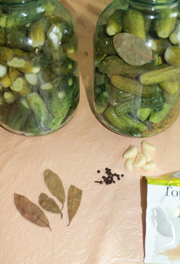 Pepinos crocantes para o inverno - decapados, sem vinagre, sem esterilização. As melhores receitas simples com fotos de pepinos crocantes em latas com vodka