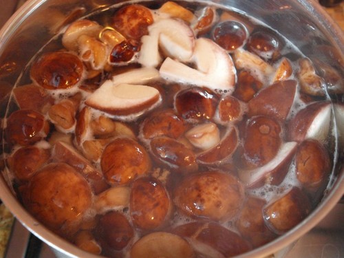 Como cozinhar cogumelos brancos para sopa e preservar