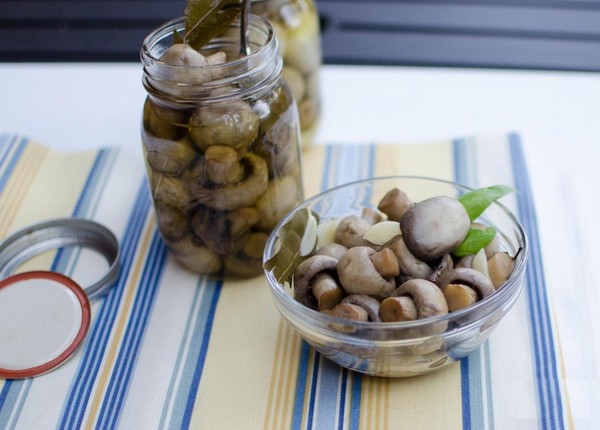 Como cortar cogumelos em casa - receitas para o inverno nos bancos