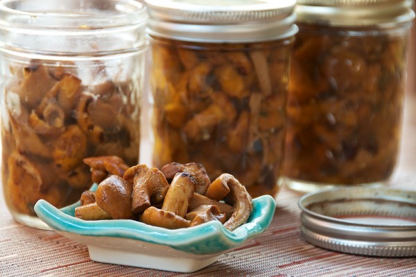 Como cortar cogumelos em casa - receitas para o inverno nos bancos