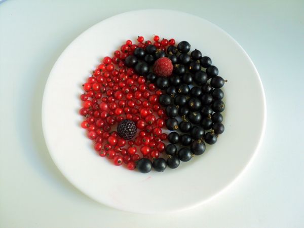 Serviço e servir belas frutas