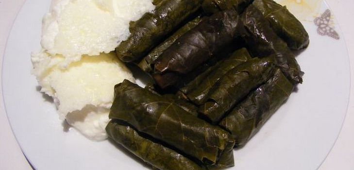 Como cozinhar dolma em casa Como cozinhar dolma em casa