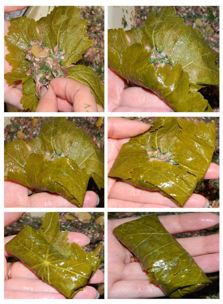 Como cozinhar dolma em casa Como cozinhar dolma em casa