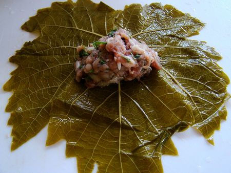 Como cozinhar dolma em casa Como cozinhar dolma em casa