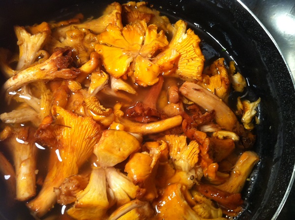 Como cozinhar chanterelles em uma frigideira