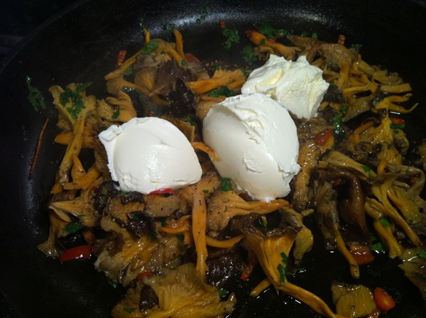 Como cozinhar chanterelles em uma frigideira
