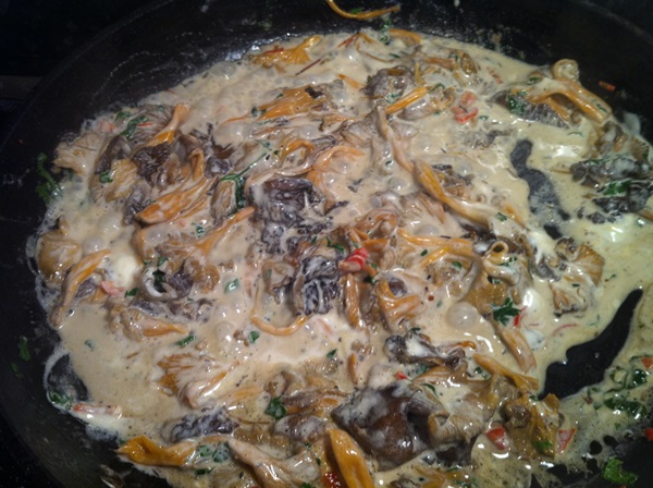 Como cozinhar chanterelles em uma frigideira