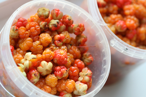Como ferver um atolamento de cloudberry: uma receita com uma foto