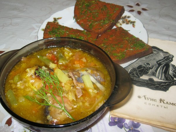 Sopa de saury enlatado: receitas saborosas e úteis