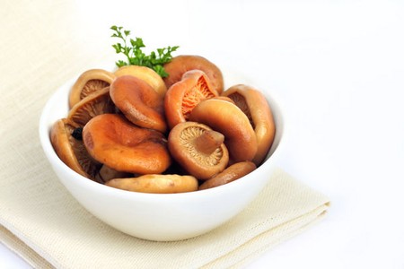 Solim cogumelos porcos para o inverno