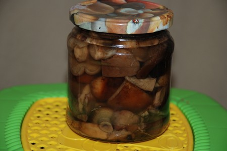 Solim cogumelos porcos para o inverno