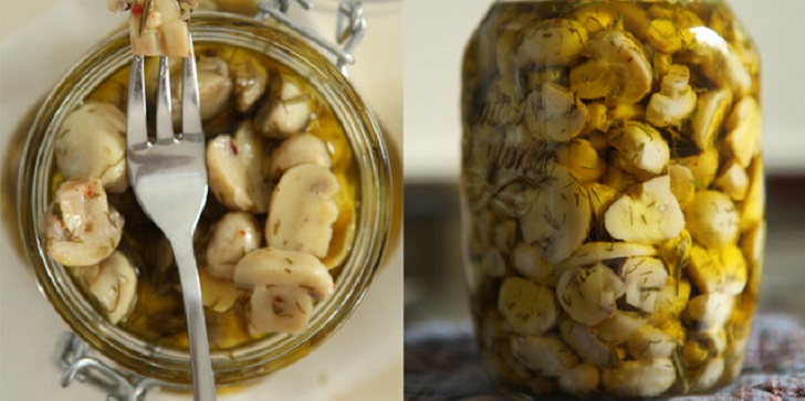 Deliciosas receitas de colheita de cogumelos para o inverno