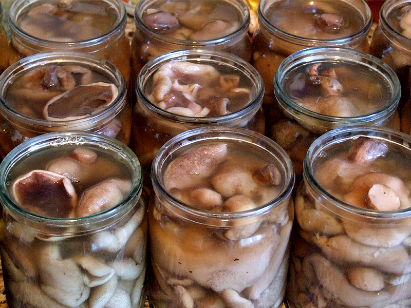 Preservação de peixes vermelhos em latas para o inverno Preservação de peixes vermelhos em latas para o inverno